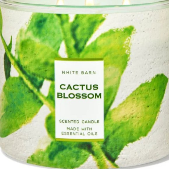 Bath & Body Works Other - New! Bath & Body Works Cactus Blossom 3 wick candle